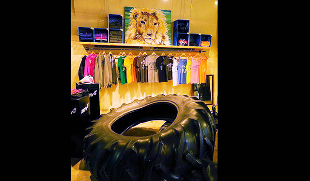 「ACADEMY OF LIONS ATHLETICS」。このジムに最新のマシンは皆無