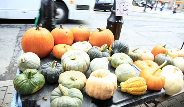 ［番外編］編集部が見つけたアートなトロント<br />「セント・ローレンス・マーケット」。200年以上前からトロント市民の台所として賑わうマーケットには、地元の新鮮な食材をはじめ、お土産になるような雑貨も充実