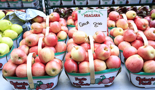 ［番外編］編集部が見つけたアートなトロント<br />「セント・ローレンス・マーケット」。パッケージの可愛さも、おいしさを引き立てるのに一役買っている