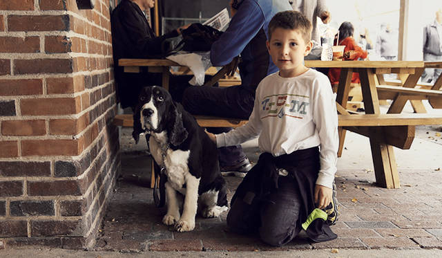 ［番外編］編集部が見つけたアートなトロント<br />「セント・ローレンス・マーケット」。愛犬とお留守番。と思ったら、まったく違う人が飼っていた犬だった。おおらかな雰囲気