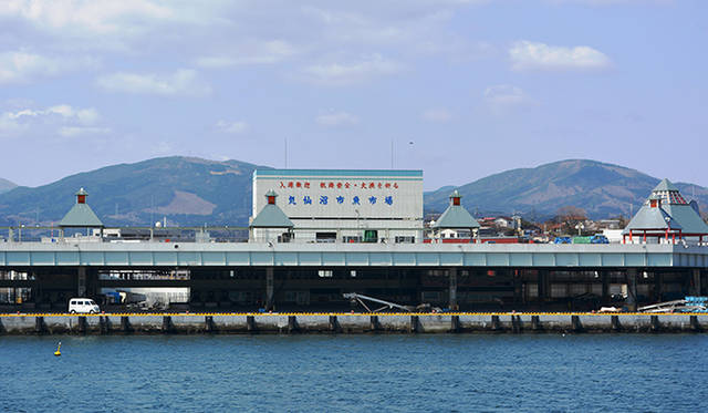 震災時も奇跡的に被害が少なかった気仙沼港。そのためいち早く再開された。それを支えたのが獲った魚を気仙沼に水揚げをした全国の漁船だ