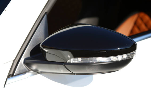 ブラックにペイントされたThe Beetle Turbo Exclusiveのドアミラー