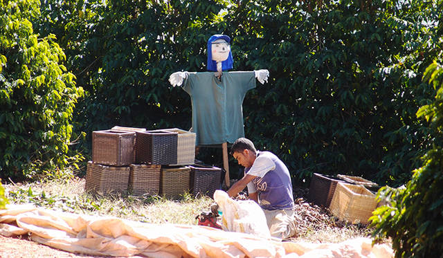 どうやら案山子の作り方は世界共通のよう。作業の際に必ず身に着けなければならないアイテムがチェックできる