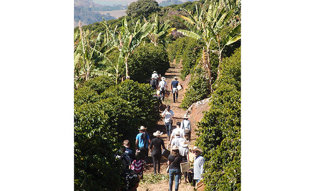 太陽の光に恵まれた、緑豊かな農園