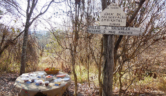 農園を見わたせる広場でランチタイム