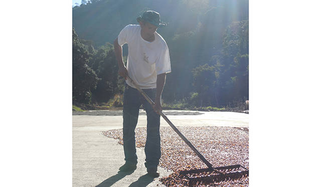 重なりをなくすため、平らに広げていく