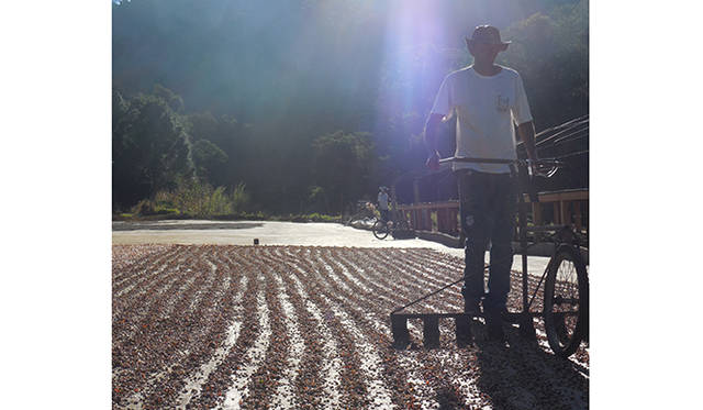 こうして透いて風の通り道をつくる