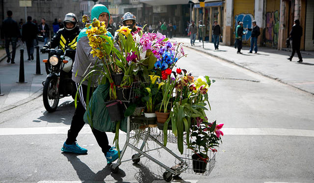屋台のお花屋さんは、切り花でなく鉢植えばかり