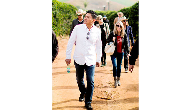 緩やかな坂道がつづくコーヒー農園