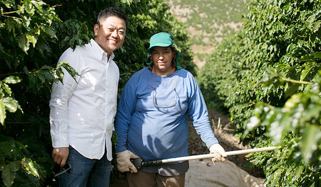 高いところの実は、カッターで切り落とす。激しく鳴り響くエンジン音対策のために、イヤーキャップは必須だ
