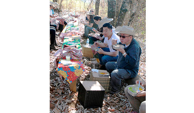 日常からかけ離れた、幸せなランチタイム