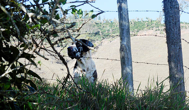 彼としては、突然の来客に困惑!?