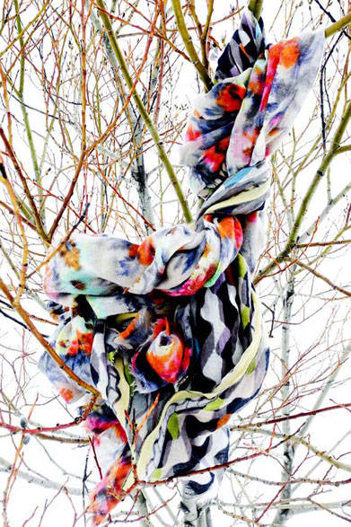 ストールコレクション