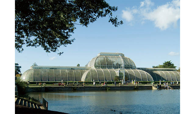 キュー王立植物園のパーム・ハウス © The Board of Trustees of the Royal Botanic Gardens, Kew