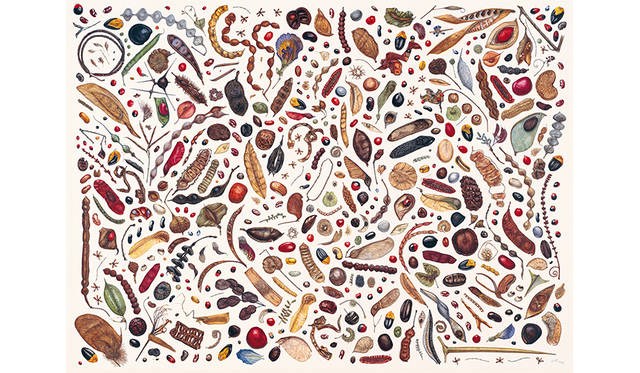 レイチェル・ペダー＝スミス《マメ科の種子を用いた作画》2004年、キュー王立植物園蔵　© The Board of Trustees of the Royal Botanic Gardens, Kew