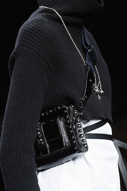 008det--Valentino-PAP-FW1617