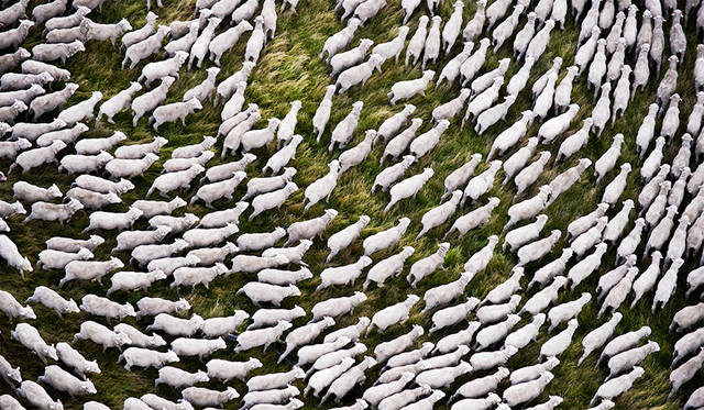 0-E-Australia_ph.-by-Mattias-Klum