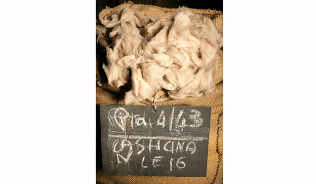 0-F-Merino-Wool_03