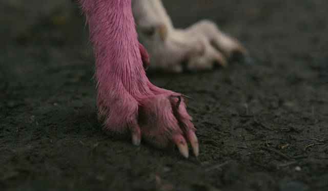 A Way in Untilled: © ADAGP, Paris 2016