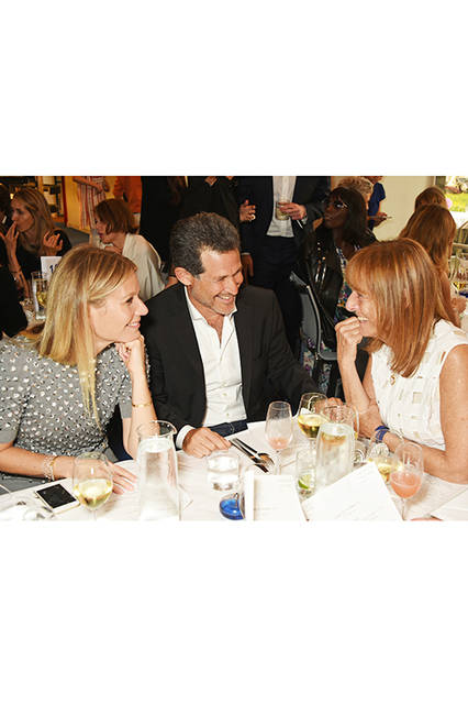 542156182 Gwyneth Paltrow(グウィネス・パルトロー)