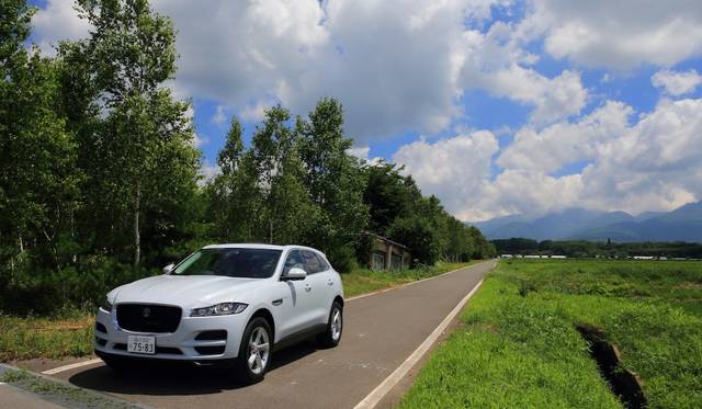 全高1,665mだが比較的低く見える