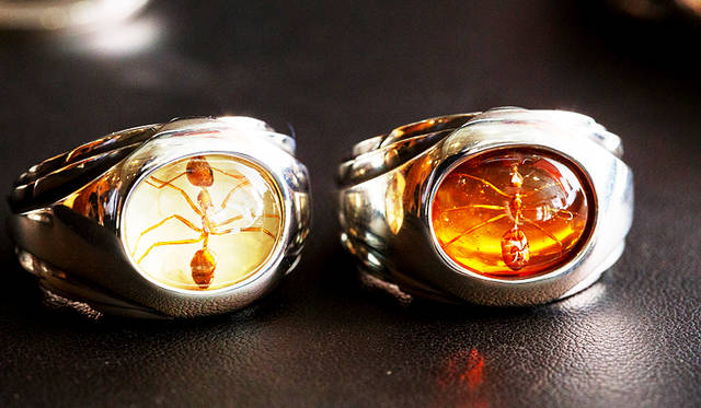 90年代後半～00年代初期に大きな話題を生んだ、アントシリーズのリング。フィリピンのシナモンアリを樹脂で固めている。非売品。