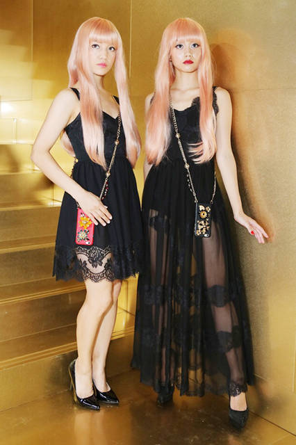 FEMM_1 FEMM