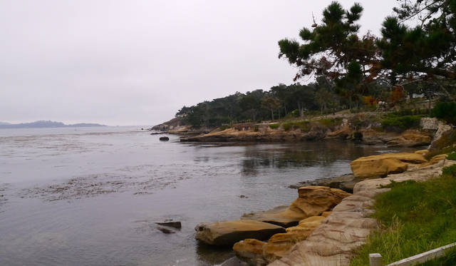 ジャイアントケルプで知られるペブルビーチ