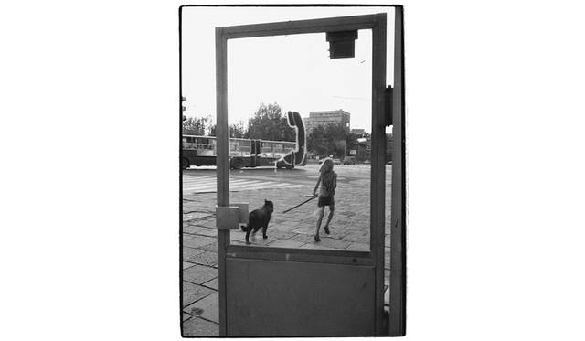 ©ハービー・山口