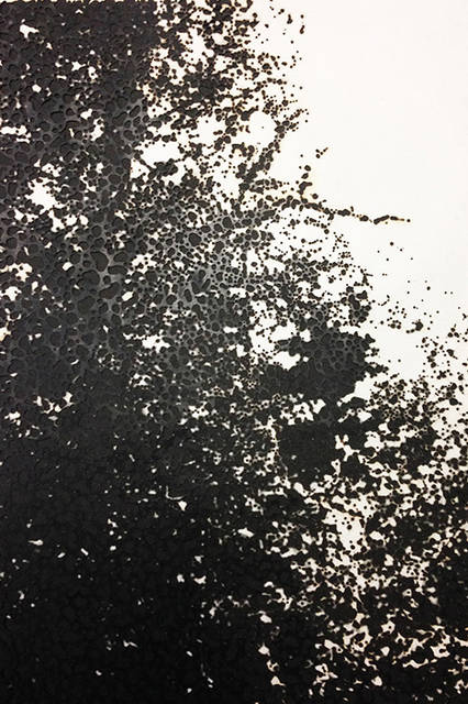 市川孝典/untitled(wood land)/2014/</br>burnt paper/ H464mmx W329mm</br>©Kosuke Ichikawa