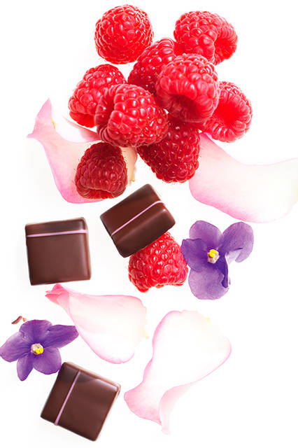 Des fleurs juste pour le plaisir<br>   フルール プレズィール<br> ー お花を、ただ楽しむためにー