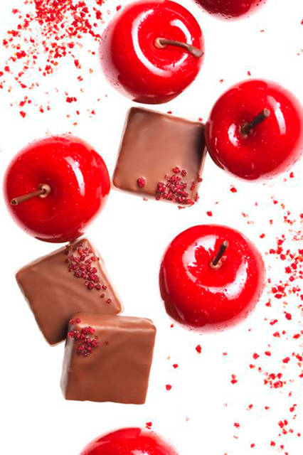 Paris secret à l’abri des regards<br /> パリ スクレ <br /> ー 秘密のパリ ー