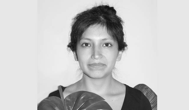 天然の生分解性を持ちながら、合成物質のように鎮静効果をもたらす、バナナの葉を用いた火傷用絆創膏<br>作品名｜PLATANACEAE<br>受賞者｜パウラ・セルメーニョ（Paula Cermeño）／ペルー