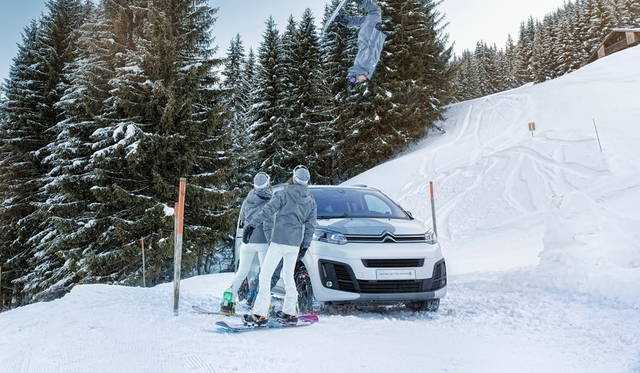 Copyright William Crozes@Stink