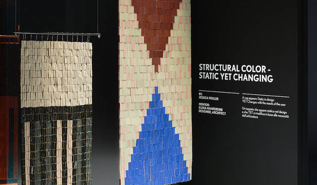 <strong>STRUCTURAL COLOR - STATIC YETCHANGING</strong><br>受賞者／ジェシカ・フーグラー（Jessica Fügler）<br>国籍／アメリカ