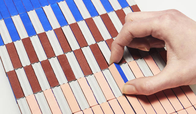 <strong>STRUCTURAL COLOR - STATIC YETCHANGING</strong><br>受賞者／ジェシカ・フーグラー（Jessica Fügler）<br>国籍／アメリカ