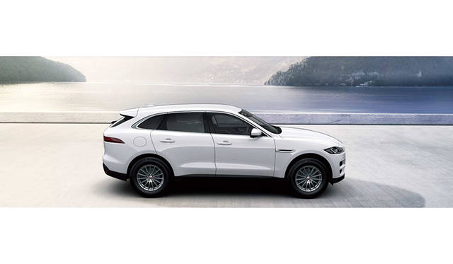 ポラリスホワイト