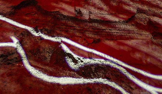 「E-PACE」のワールドプレミアでは、270度回転しながら15.3メートルをジャンプする「バレル ロール」を披露。このデモンストレーションは、同時にギネス世界記録も樹立した。