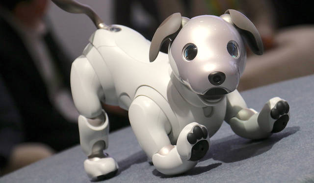 Sony aibo