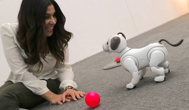 Sony aibo