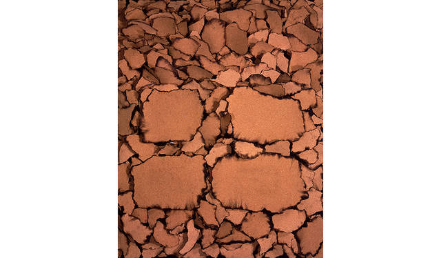 桂ゆき（ユキ子）《作品》1978-79年