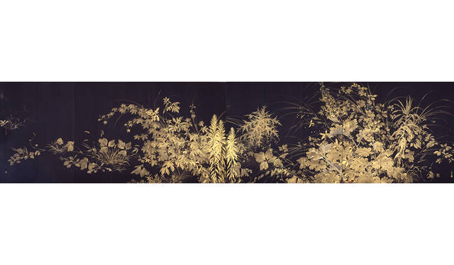 川端龍子《草炎》1930年　（展示期間：7月31日-9月24日）