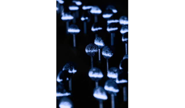 「PREPARE YOUR SENSES」のロリポップも一つの光源で1本も影に入ることのないよう計算されて配置された