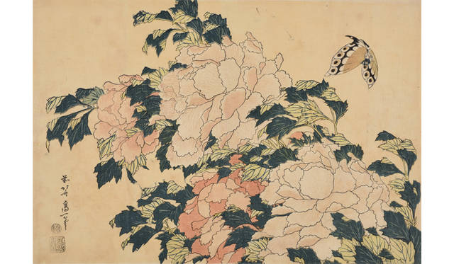 葛飾北斎《牡丹に蝶》大判　天保初期（1830-34）頃　島根県立美術館（永田コレクション）　展示期間1月30日（水）～2月18日（月）