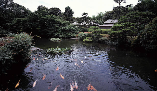 <strong>ホテルニューオータニ</strong><br>住所｜東京都千代田区紀尾井町4‐1<br>TEL｜03-3265-1111（代表）