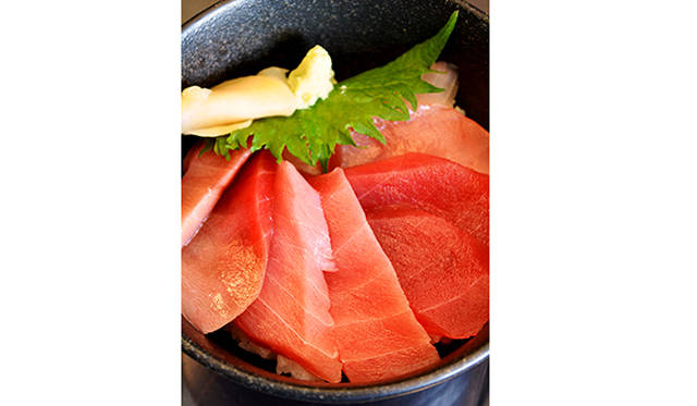 ツアーのための特製「まぐろ四色丼」。左からミナミマグロ、メバチの中トロ、同赤み、ビンナガの厚い切り身が豪快に