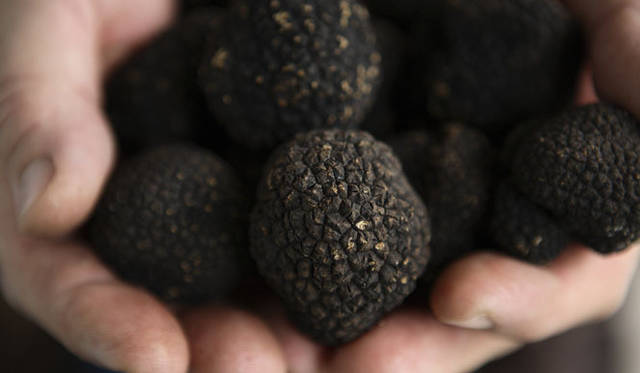 <strong>ESTÉE LAUDER｜エスティ ローダー</strong><br>美容液「リニュートリィブ ダイヤモンド デュアル セラム」の主成分は、9段階もの工程と1万時間にもおよぶ時を費やして、一滴一滴丁寧に抽出したブラック ダイヤモンド トリュフ エキス