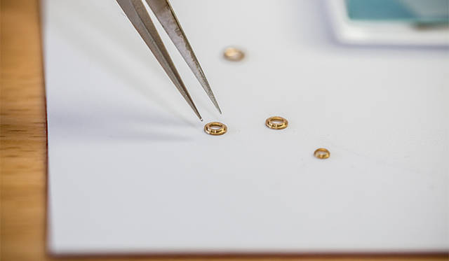 軸受けのルビーを固定するためのゴールド製のシャトン。これもランゲ流のこだわり。