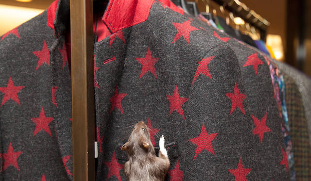 ホーランド エスクワイヤーの大胆なプリントのテーラードジャケット