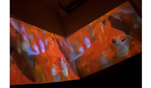 © mika ninagawa, Courtesy of Tomio Koyama Gallery